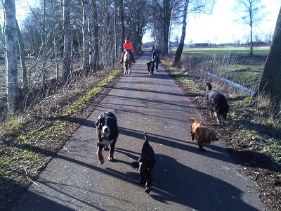 Runde drehen!